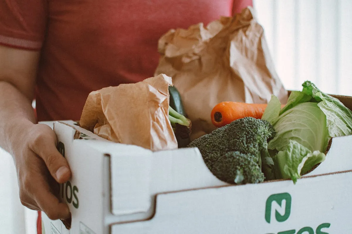 Person holding a box filled with fresh vegetables, ideal for health and produce concepts.